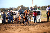 CoonambleRodeoCampdraftSat_0356