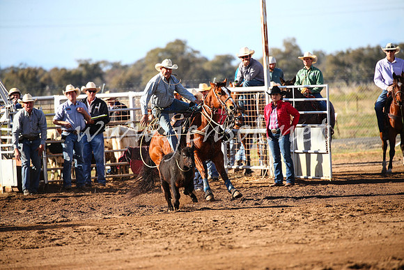 CoonambleRodeoCampdraftSat_0356