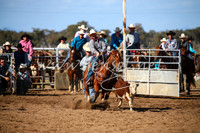 CoonambleRodeoCampdraftSat_0917