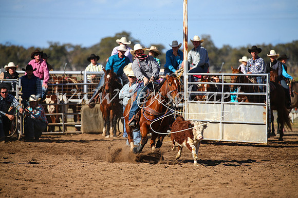 CoonambleRodeoCampdraftSat_0917