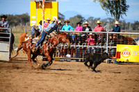 CoonambleRodeoCampdraftSat_0903