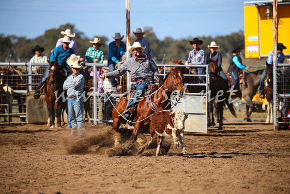 CoonambleRodeoCampdraftSat_0910