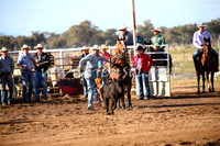 CoonambleRodeoCampdraftSat_0355