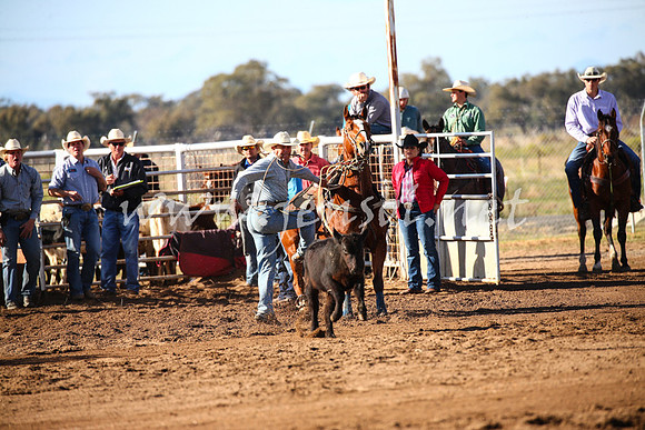 CoonambleRodeoCampdraftSat_0355