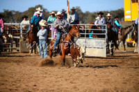 CoonambleRodeoCampdraftSat_0916
