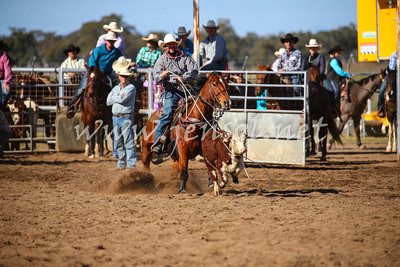 CoonambleRodeoCampdraftSat_0916