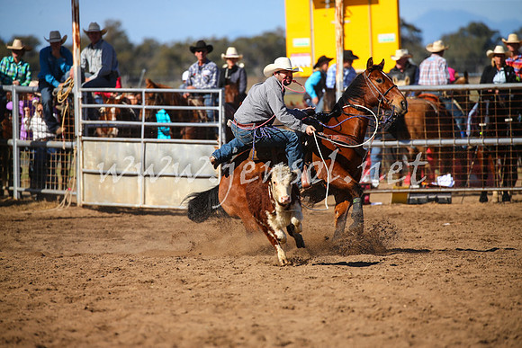 CoonambleRodeoCampdraftSat_0928