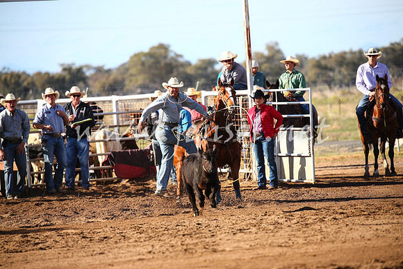 CoonambleRodeoCampdraftSat_0353