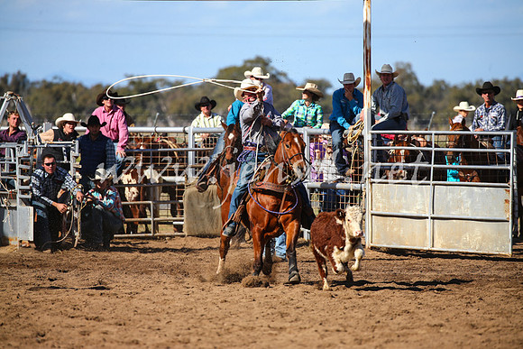 CoonambleRodeoCampdraftSat_0914