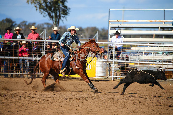 CoonambleRodeoCampdraftSat_0897