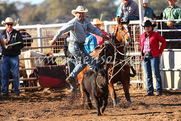 CoonambleRodeoCampdraftSat_0360