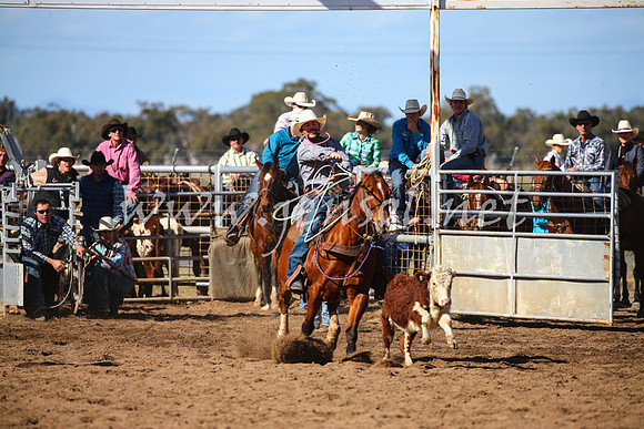 CoonambleRodeoCampdraftSat_0915