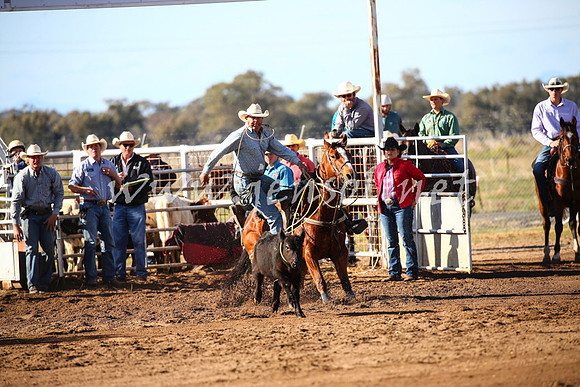 CoonambleRodeoCampdraftSat_0359