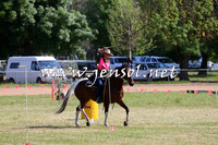 BattleoftheBidgee_1663
