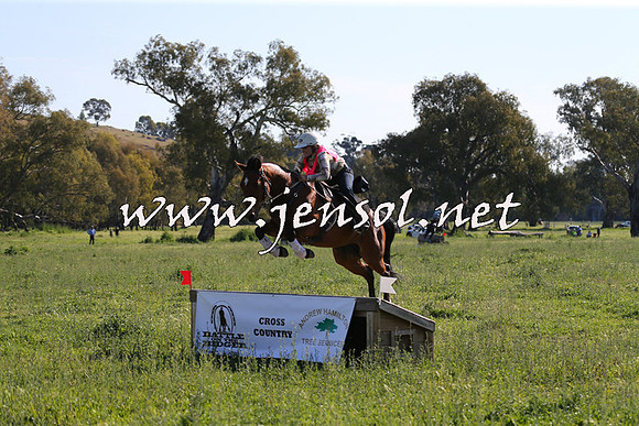 BattleoftheBidgee_1325