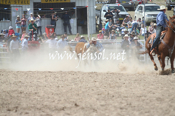 BungendoreRodeo2013_2059