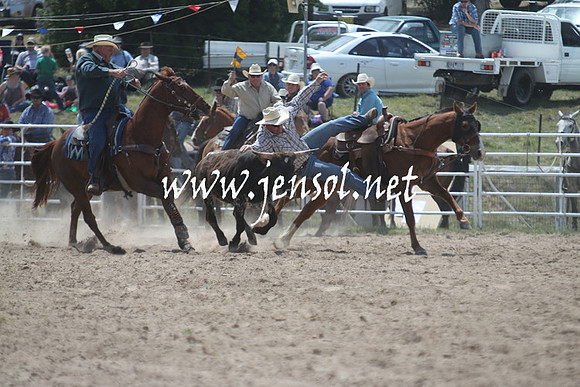 BungendoreRodeo2013_1141