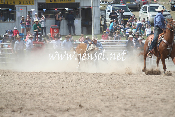 BungendoreRodeo2013_2060