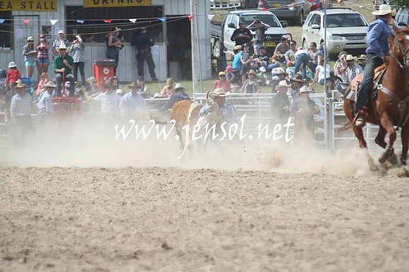 BungendoreRodeo2013_2058