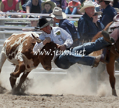 BungendoreRodeo2013_1197