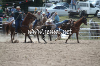 BungendoreRodeo2013_1139