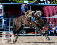 BraidwoodRodeo2015_3089