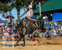 BraidwoodRodeo2015_4684