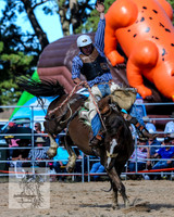 BraidwoodRodeo2015_3085