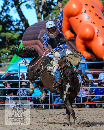 BraidwoodRodeo2015_3085