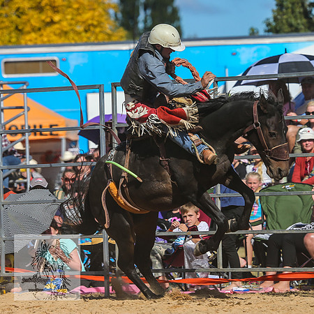 BraidwoodRodeo2015_3169