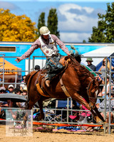 BraidwoodRodeo2015_1910