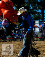 BraidwoodRodeo2015_0576