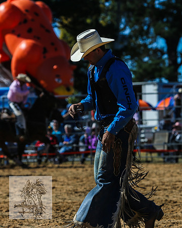 BraidwoodRodeo2015_0576