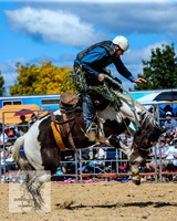BraidwoodRodeo2015_1977