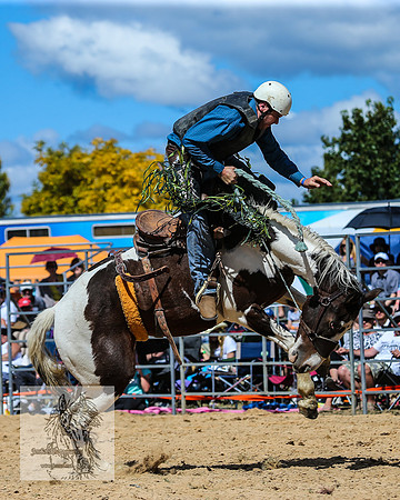 BraidwoodRodeo2015_1977