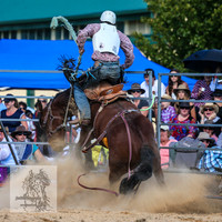 BraidwoodRodeo2015_3174