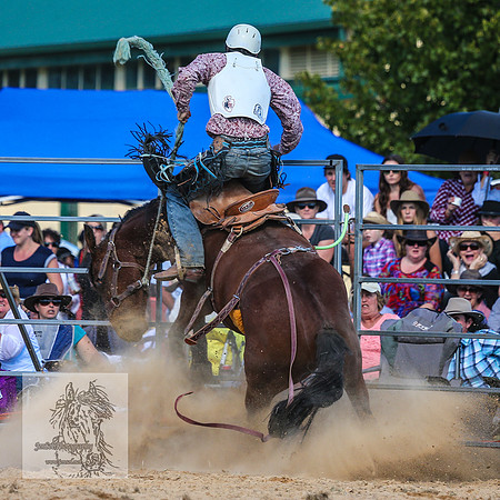 BraidwoodRodeo2015_3174