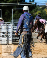 BraidwoodRodeo2015_3016