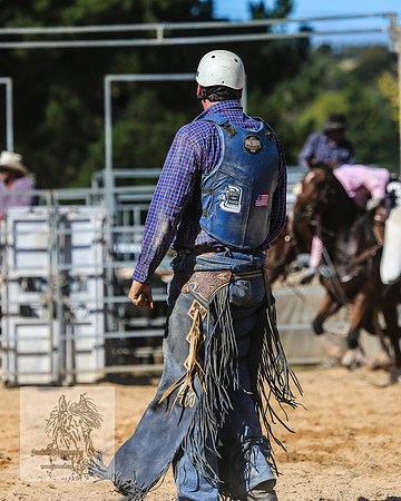 BraidwoodRodeo2015_3016