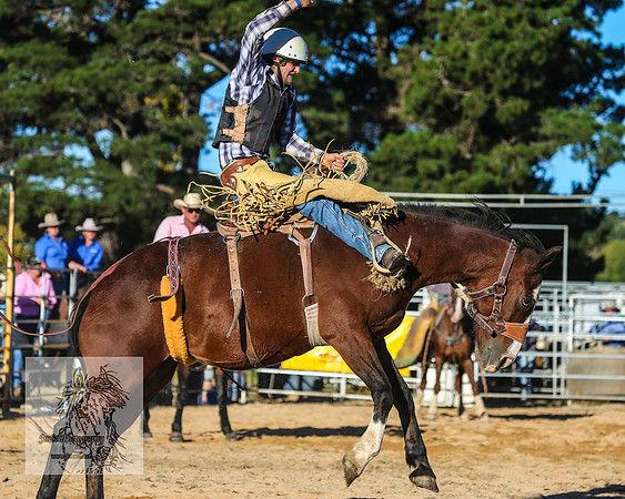BraidwoodRodeo2015_4707