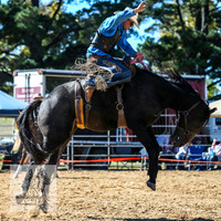 BraidwoodRodeo2015_0563
