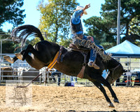 Saddle Bronc