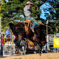 BraidwoodRodeo2015_4625