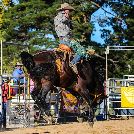 BraidwoodRodeo2015_4625