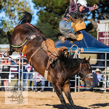 BraidwoodRodeo2015_4777