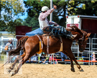 BraidwoodRodeo2015_1904