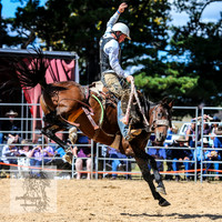BraidwoodRodeo2015_1850