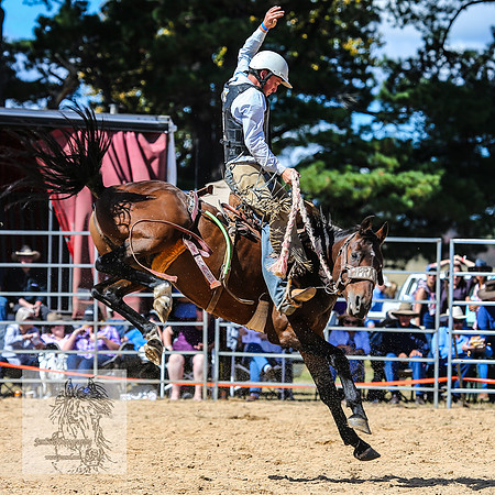 BraidwoodRodeo2015_1850