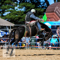 BraidwoodRodeo2015_3137