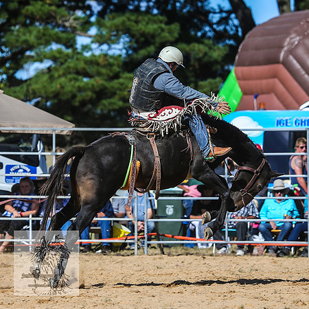 BraidwoodRodeo2015_3137
